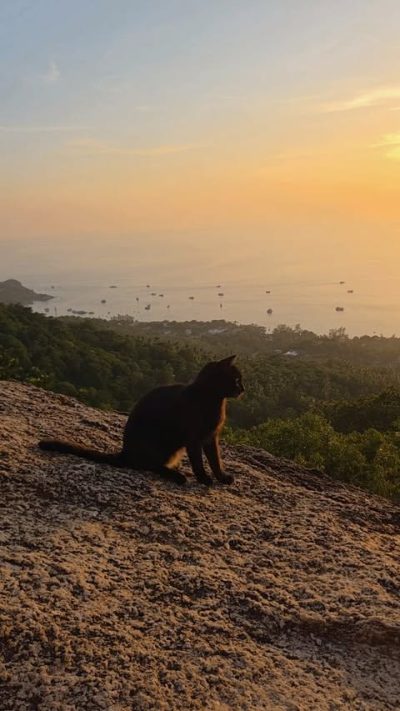 Koh Tao, Thailand в июле — фото погоды (2026-07-19)