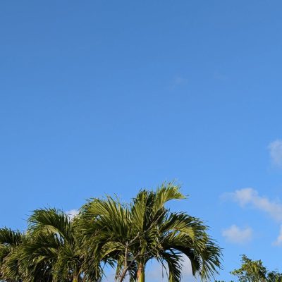 InterContinental - ANA Manza Beach Resort — фото погоды в мае (2026-05-16)