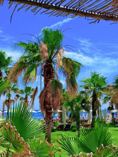 Fly-Inn Beach в июне — фото погоды (2026-06-21)