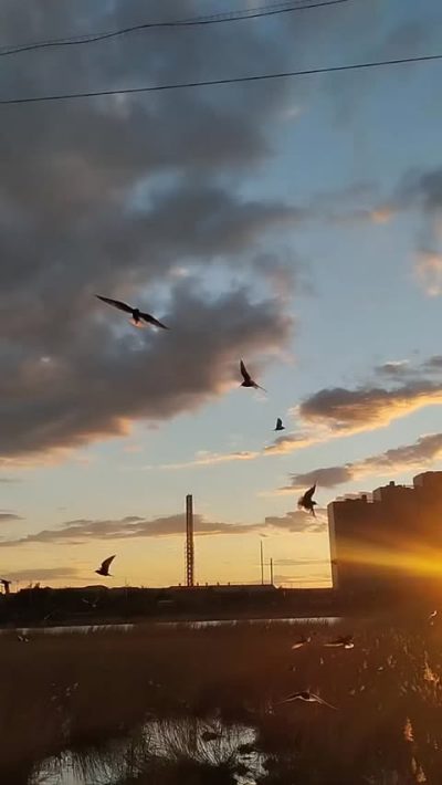 Якутск в июне — фото погоды (2026-06-13)