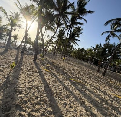 Riu Palace Bavaro — фото погоды в феврале (2026-02-28)