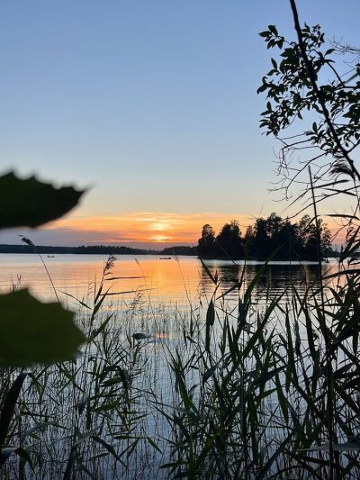 Синево в июле — фото погоды (2026-07-20)