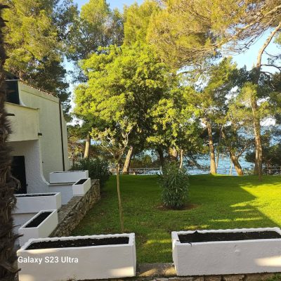 Plava Laguna, Poreč в мае — фото погоды (2026-05-12)