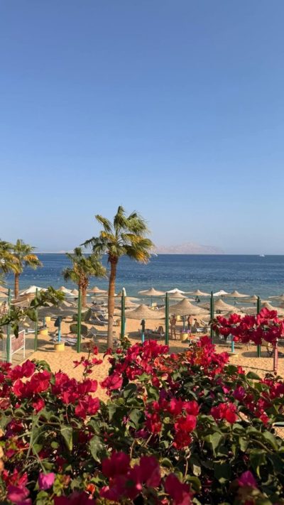 Hilton Hurghada Plaza в июне — фото погоды (2026-06-17)