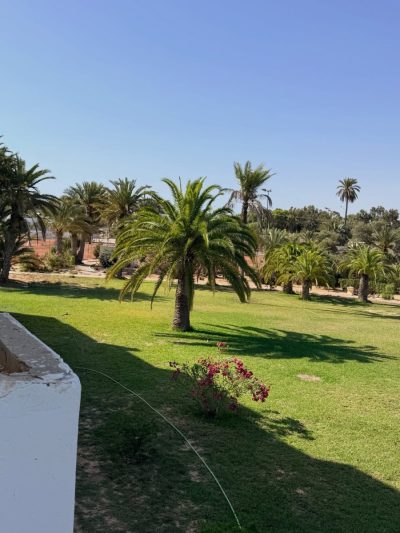 Djerba Plaza Thalasso & spa — фото погоды в июне (2026-06-17)
