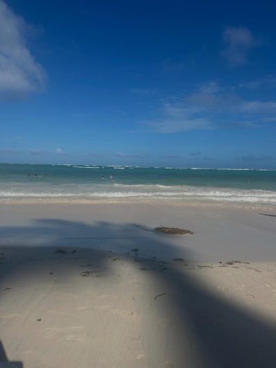 Punta Cana - Rep. Dominicana в январе — фото погоды (2026-01-25)