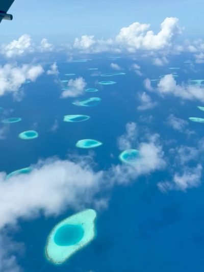 Naladhu Private Island Maldives в июле — фото погоды (2026-07-08)