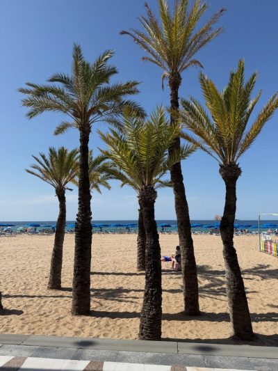 Playa de Levante в июне — фото погоды (2026-06-19)