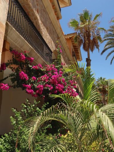 Cabo Mexico в июне — фото погоды (2026-06-29)