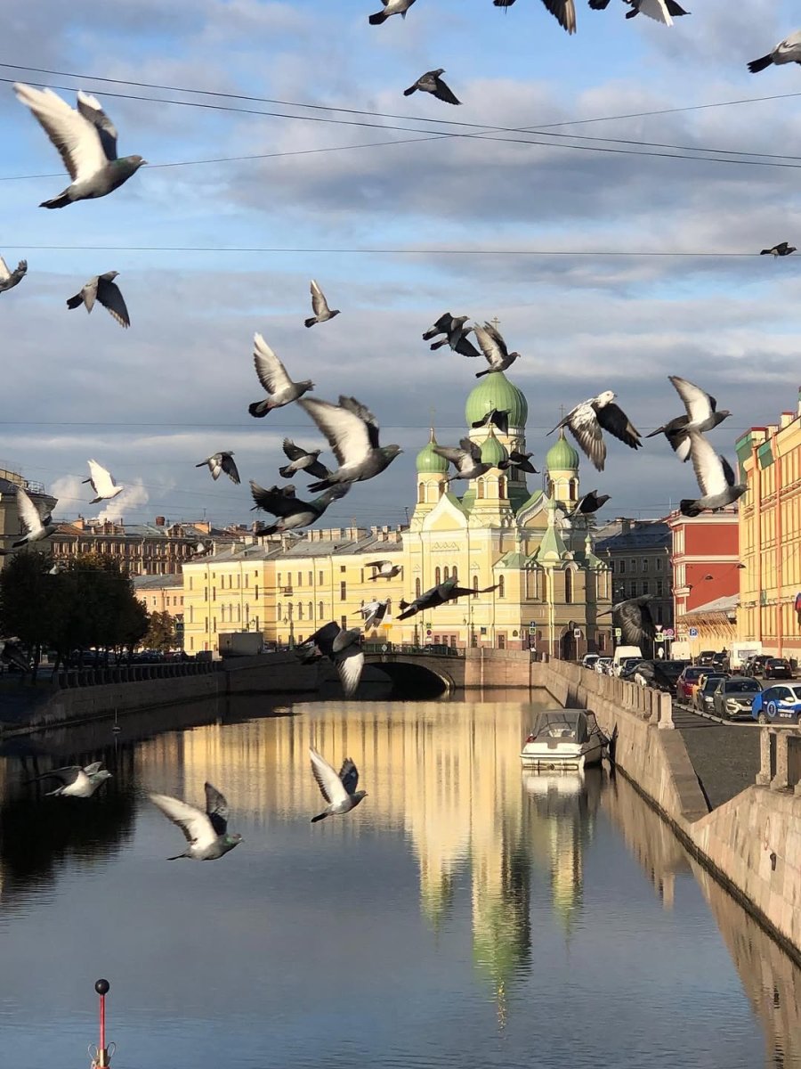 Погода в Петропавловская крепость