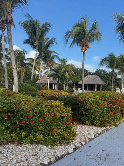 Melia Cayo Santa Maria Cuba в декабре — фото погоды (2025-12-01)