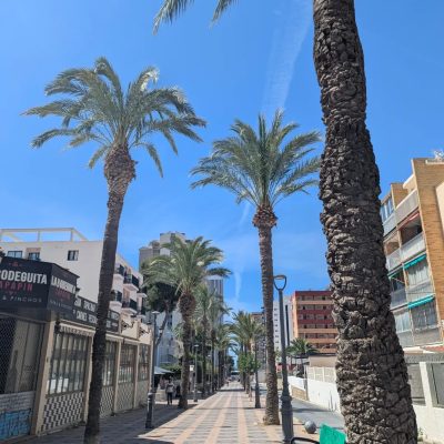 Sandos Benidorm Suites — фото погоды в мае (2026-05-28)
