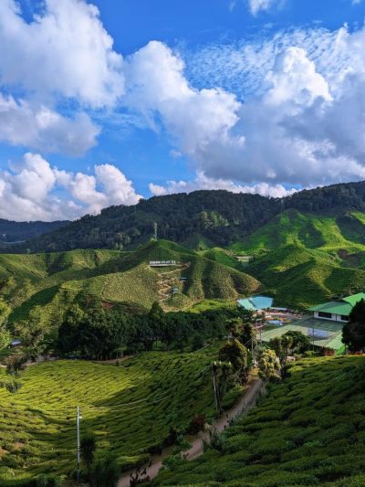 Cameron Valley Tea House, Cameron Highlands в мае — фото погоды (2026-05-30)