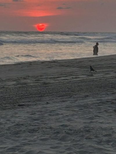 Acapulco Diamante в апреле — фото погоды (2026-04-28)