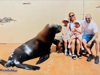 Mundomar Benidorm в июне — фото погоды (2026-06-23)