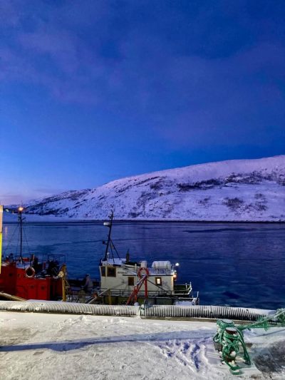 Arctic ocean , Murmansk в январе — фото погоды (2026-01-29)