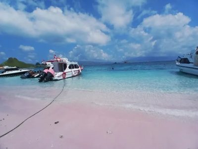 Pink beach komodo island - pulau komodo в марте — фото погоды (2026-03-26)