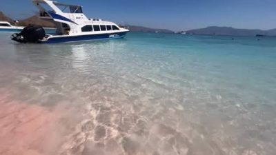 Pink beach komodo island - pulau komodo в апреле — фото погоды (2026-04-02)