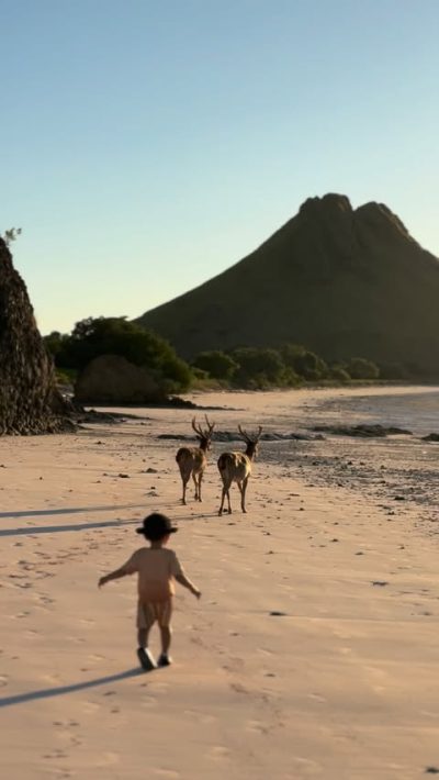 Pink beach komodo island - pulau komodo в апреле — фото погоды (2026-04-27)