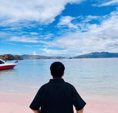 Pink beach komodo island - pulau komodo в мае — фото погоды (2026-05-20)