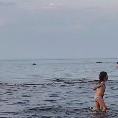 Точка на карте. Приозерск в июле — фото погоды (2026-07-13)
