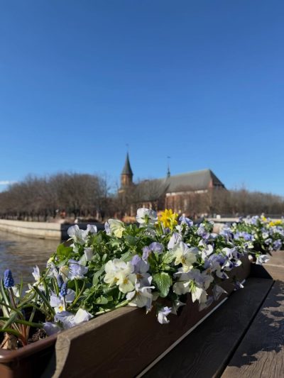 Königsberg Cathedral в марте — фото погоды (2026-03-27)