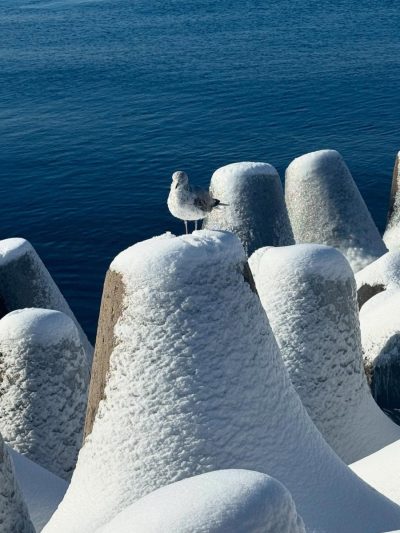 Г. Балтийск, Калининградская Область, Россия в феврале — фото погоды (2026-02-19)