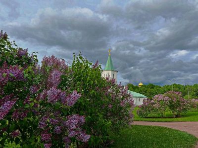 Ленинградская область в мае — фото погоды (2026-05-29)