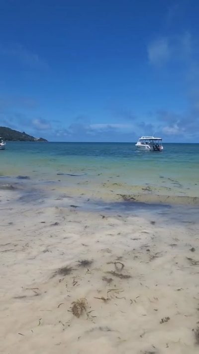 Grand'Anse Praslin в августе — фото погоды (2025-08-18)