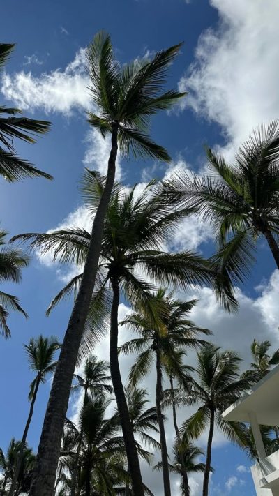 Bavaro Princess Platinum Vip Resort в апреле — фото погоды (2026-04-13)