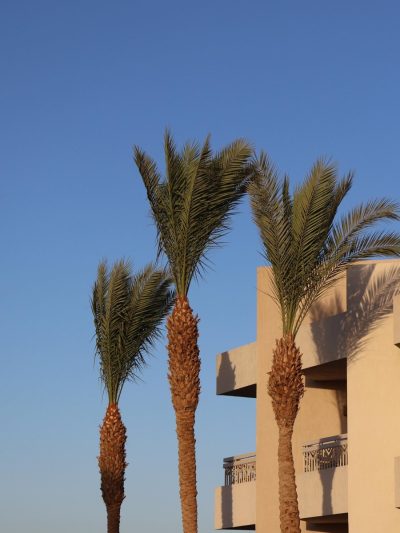 DoubleTree by Hilton Sharm El Sheikh Sharm Bay в мае — фото погоды (2026-05-27)