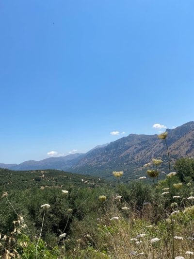 Stalis Crete в июле — фото погоды (2026-07-12)