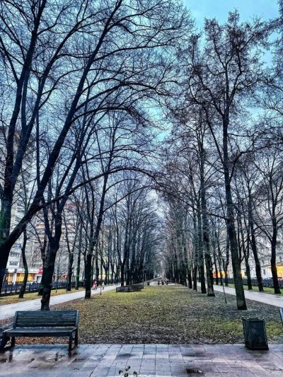Москва в ноябре — фото погоды (2025-11-28)