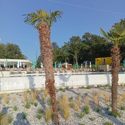 Bijela Uvala в июне — фото погоды (2025-06-26)