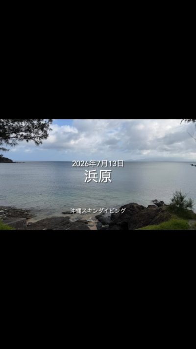Onna, Okinawa в июле — фото погоды (2026-07-13)
