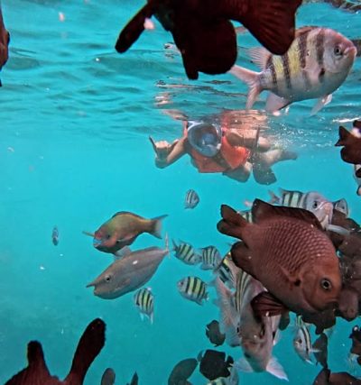 Ohluveli, Maldives в ноябре — фото погоды (2025-11-30)