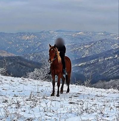 Ведено, Чечня в феврале — фото погоды (2026-02-11)