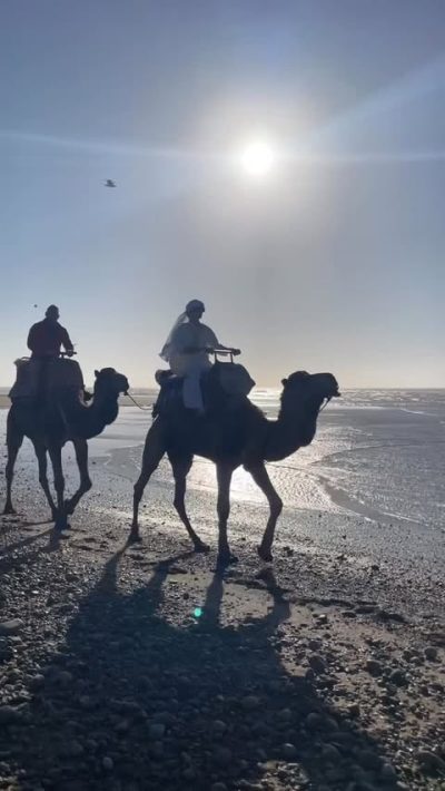 Plage Essaouira в марте — фото погоды (2026-03-17)