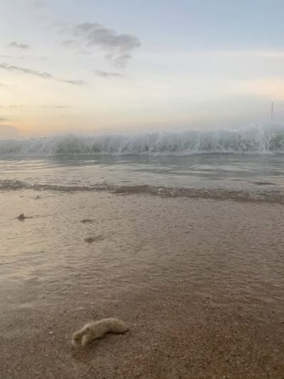Passikudah Beach в августе — фото погоды (2025-08-12)