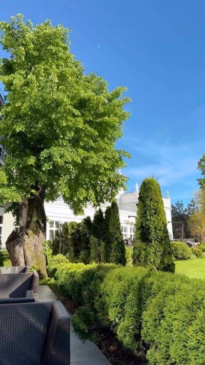 SCHLOSS-HOTEL — фото погоды в мае (2026-05-23)