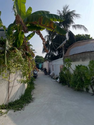 Thulhaadhoo в феврале — фото погоды (2026-02-06)