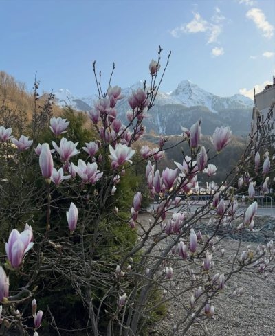 Rosa Khutor, Sochi, Russia в июле — фото погоды (2026-07-21)
