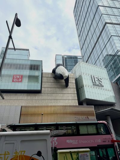 Chengdu IFS в июле — фото погоды (2026-07-17)