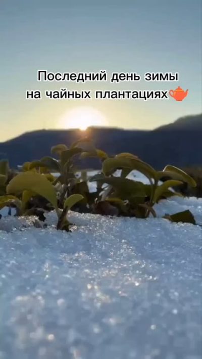 Ахинтам в феврале — фото погоды (2025-02-28)