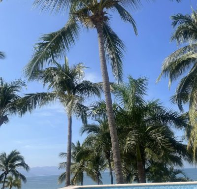 Fiesta Americana Puerto Vallarta All Inclusive & Spa — фото погоды в октябре (2025-10-25)