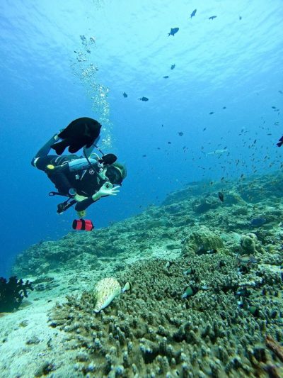 Moofushi в феврале — фото погоды (2026-02-01)