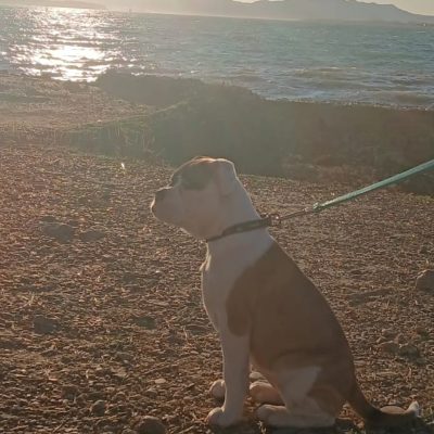 La Plage Des Ondes в феврале — фото погоды (2026-02-06)