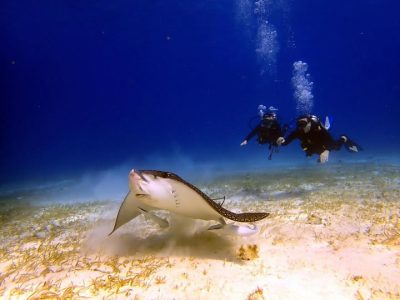 Cozumel Island (Mexican Riviera, Caribbean Sea) в марте — фото погоды (2026-03-02)