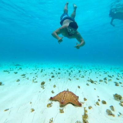 Cozumel Island (Mexican Riviera, Caribbean Sea) в апреле — фото погоды (2026-04-01)