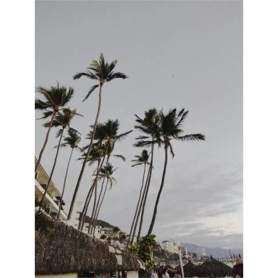 Playa De Los Muertos в феврале — фото погоды (2026-02-25)